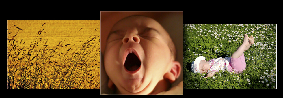 izf_slideshow_frontpage_02