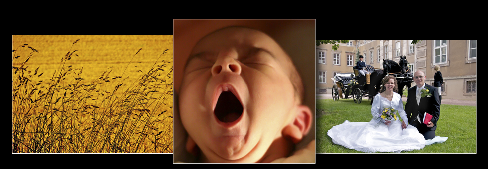 izf_slideshow_frontpage_03