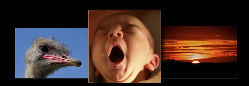 izf_slideshow_frontpage_09